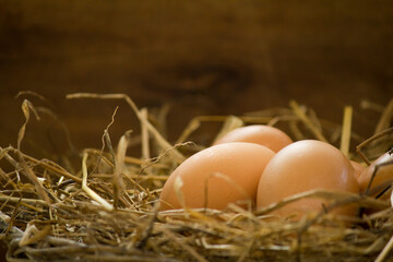 Close up eggs in the nest