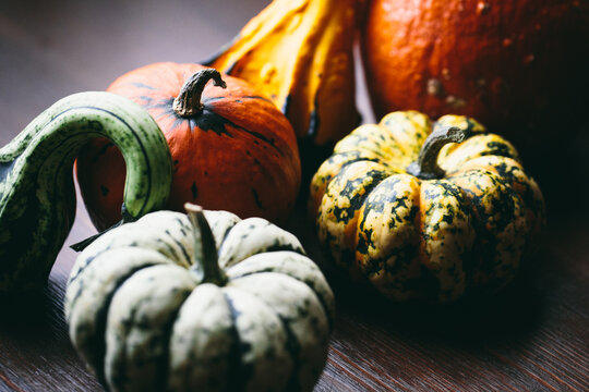 Pumpkins - Powered by Adobe