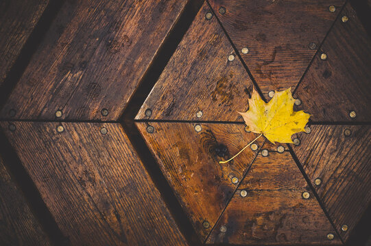 yellow leaf on table