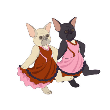 Two French bulldogs are dancing Kankan in dresses on white isolated background, vector stock illustration made in Cartoon design style, concept of Dance and Hobby, Pets and Animals, also Job.