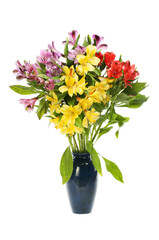 Alstroemeria flowers in a vase