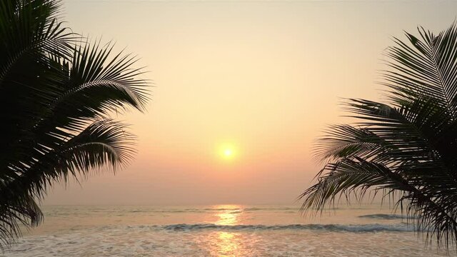 slow motion of idyllic sunset near the sea. Sun goes down between symmetrical palm tree branches in silhouette
