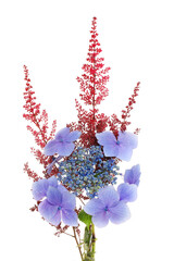 Hydrangea flower arrangement