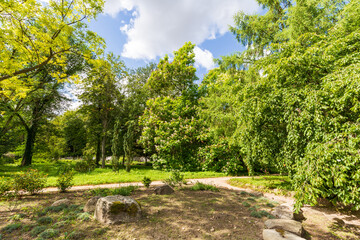 Park in summer on sunny day landscape