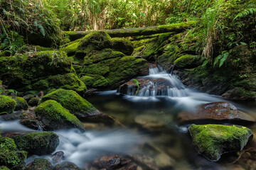 Small waterfall in the forest of Rio de Janeiro.