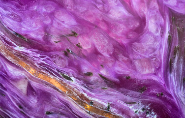 dark lilac color charoite macro texture