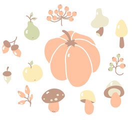 Cozy autumn. Colored set of autumn drawings. Harvest and autumn fruits - branches and berries, wild rose and viburnum, acorns and mushrooms, pumpkin and fruit, apple and pear. Vector. Isolated objects