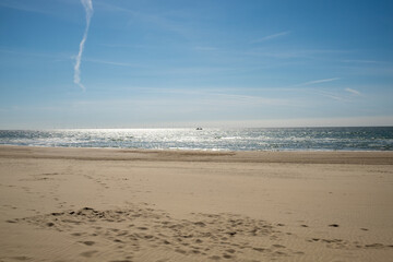 beach in the morning, Bergen aan Zee, The Netherlands
