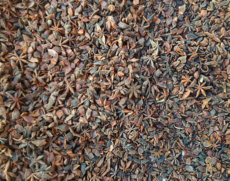 indian spice aroma chakri phool pattern background photograph