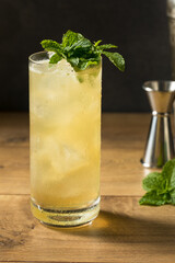 Refreshing Mint GinGin Mule Cocktail