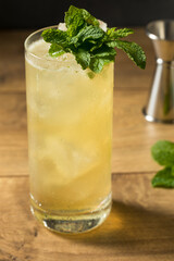 Refreshing Mint GinGin Mule Cocktail
