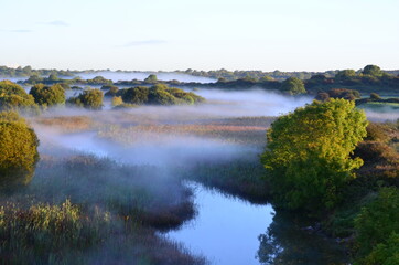 Naklejka na ściany i meble autumn landscape with river on morning mist
