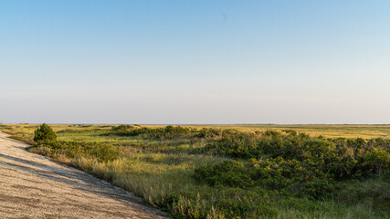 View from the dike over the grassland between the dike and the beach on the North Sea coast.