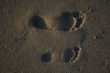 Fototapeta na wymiar footprint in the sand of adult and child