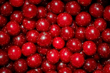 Background of ripe organic sour cherries in the sun