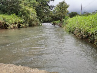 SAN RAMON SAN JOSE COSTA RICA MONTAÑAS EL RIO EL PUENTE 