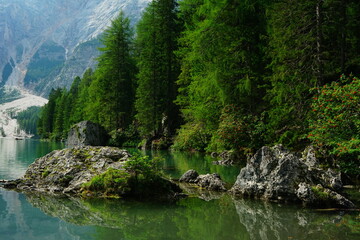 Zen shore of Braies Lake on a summer morning, Sudtirol, Trentino Alto Adige, Dolomites, Italy