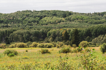 Fototapeta na wymiar A majestic view from the Shell River Valley hiking trail in Duck Mountian Provincial Park, Manitoba, Canada - Canadian Landscape