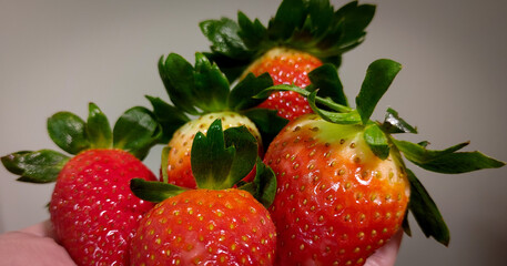 Delicious fresh strawberries from the organic fair.