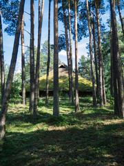 Historical building in Latvia with mossy roof and trees in the foreground