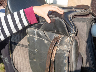 Girls are setting girth on classic leather english saddle