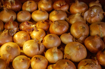Lots of dry Golden bulbs. White onion. The view from the top.