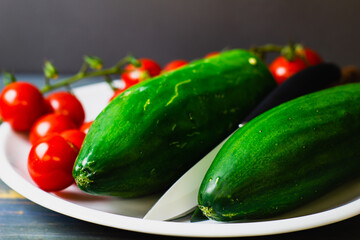Teller weiß mit Gurke und Cocktailtomaten