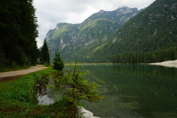 Fototapeta na wymiar Bench of Dobbiaco Lake on a cloudy morning, Toblach, Sudtirol, Trentino Alto Adige, Dolomites, Italy