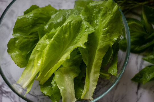 Pflücksalat Bilder: A Fun and Educational Drawing Adventure for Kids!