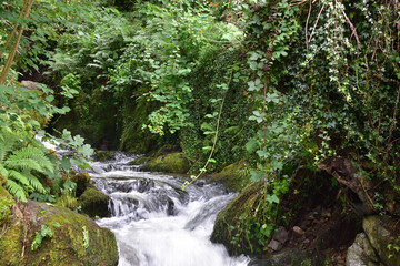 Obraz premium Welsh Valley Water