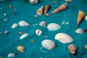 Türkiser Sand mit Muscheln braun und weiß
