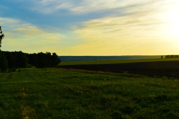 Obraz premium Evening view of a rural field with a beautiful yellow sky