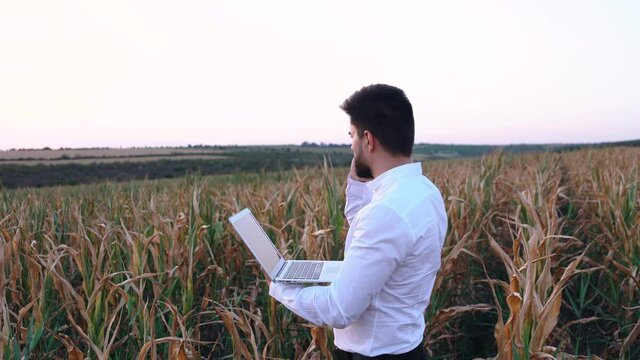 Businessman on the damaged corn field talking on the phone very agitated.