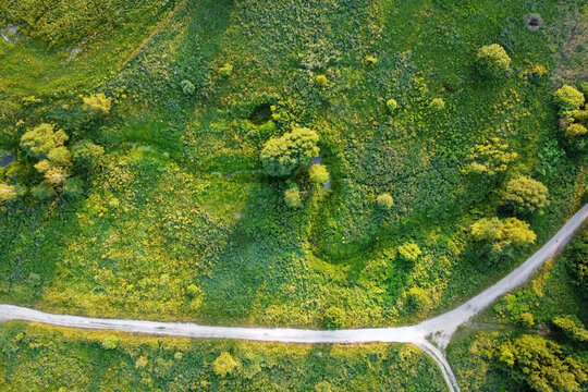 Aerial landscape - summer field with trees and road.