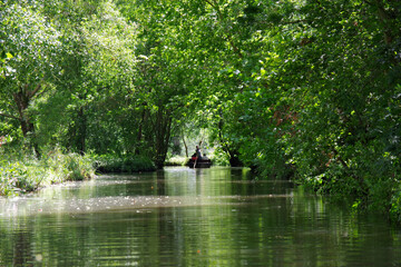 balade dans le marais poitevin