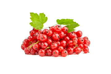 Red currant berries heap isolated on white background
