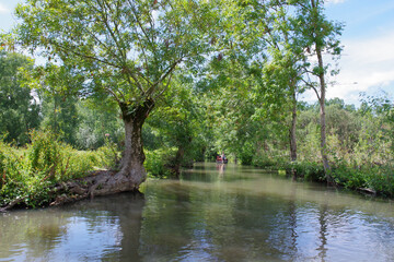 balade dans le marais poitevin