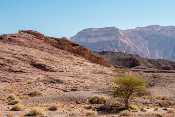 Picturesque landscape in Timna National Park in the Arava Valley near Eilat. Israel.