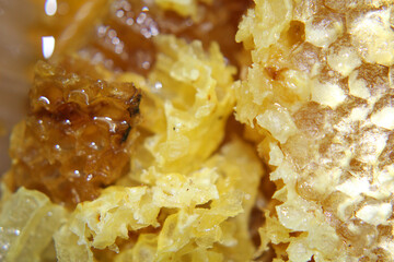 Fresh farm honey and honeycomb close-up.