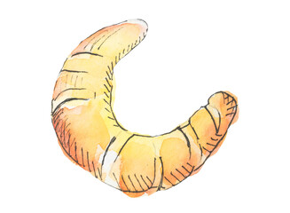 Fototapeta premium a croissant, a watercolor drawing