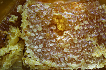 Fresh farm honey and honeycomb close-up.