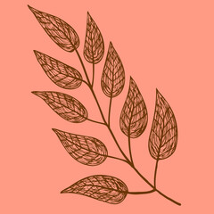 Vintage autumn leaf drawn by strokes on an orange background