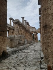 Paestum Templi Magna Grecia