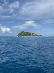 Fototapeta na wymiar Île au centre de l'atoll de Rangiroa, Polynésie française 