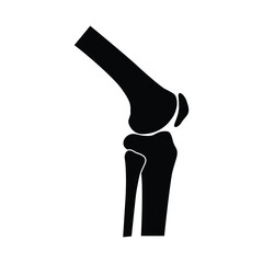 Knee joint bones icon, vector illustration
