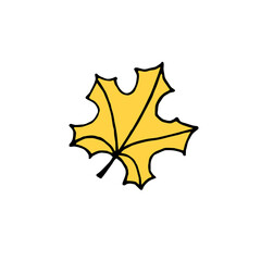 Vector hand drawn doodle sketch yellow colored maple leaf isolated on white background