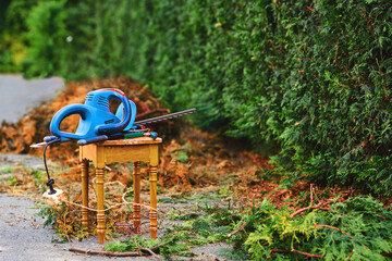 Electric hedge cutter lies on stool against background of smooth evergreen fence of thuja.Trimming the overgrown green thuja with electric hedge trimmer on backyard. Professional garden tools at work