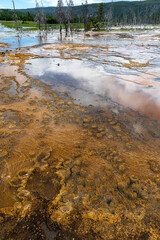 Geothermal Structures in Biscuit Basin, Yellowstone Park