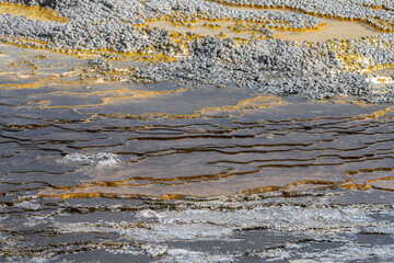 Structures around an active Geyser in Biscuit Basin, Yellowstone Park