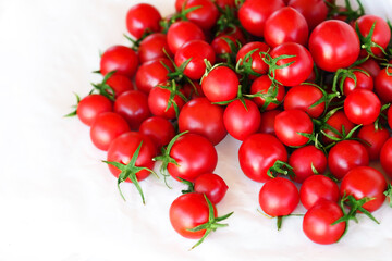 Cherry tomatoes on white background, fresh red organic tomatoes. Tomato harvest